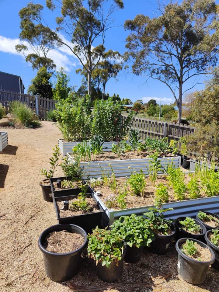 Photo of Jade Landscapes Swan Bay project